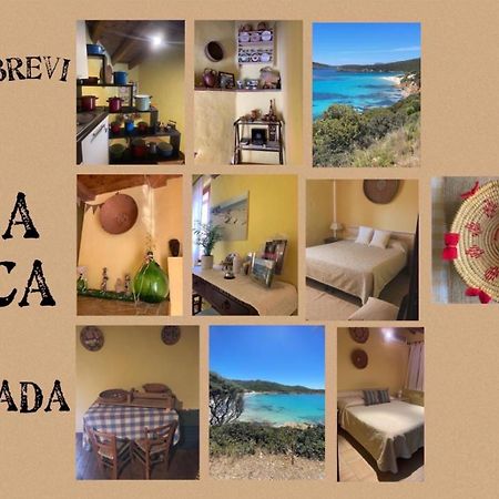 Affitta camere Tzia Licca Teulada Esterno foto