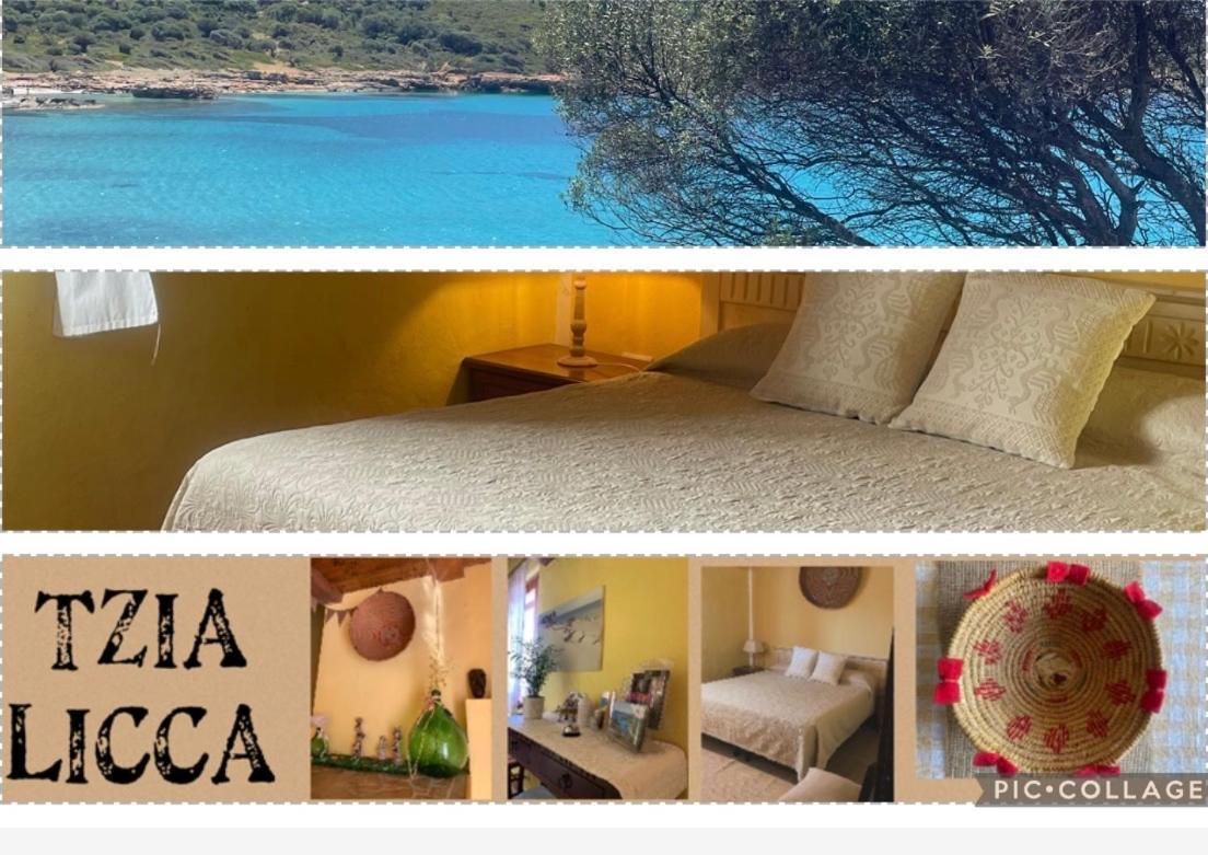 Affitta camere Tzia Licca Teulada Esterno foto